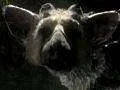 Sony: Last Guardian na TGS nebude, nepanikařte