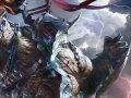 Lords of the Fallen