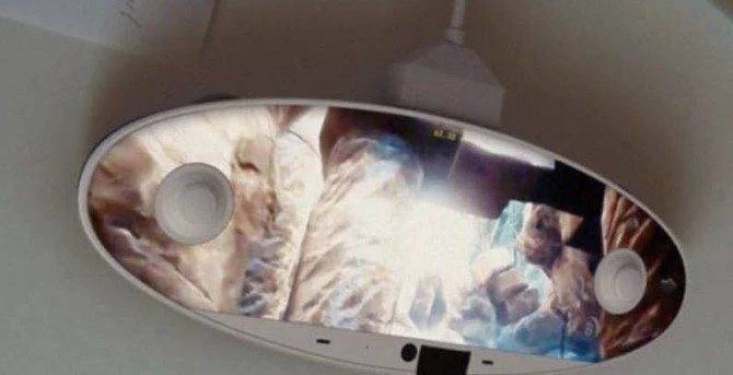 Nedávno zveřejněný Nintendo NX gamepad byl podvrhem