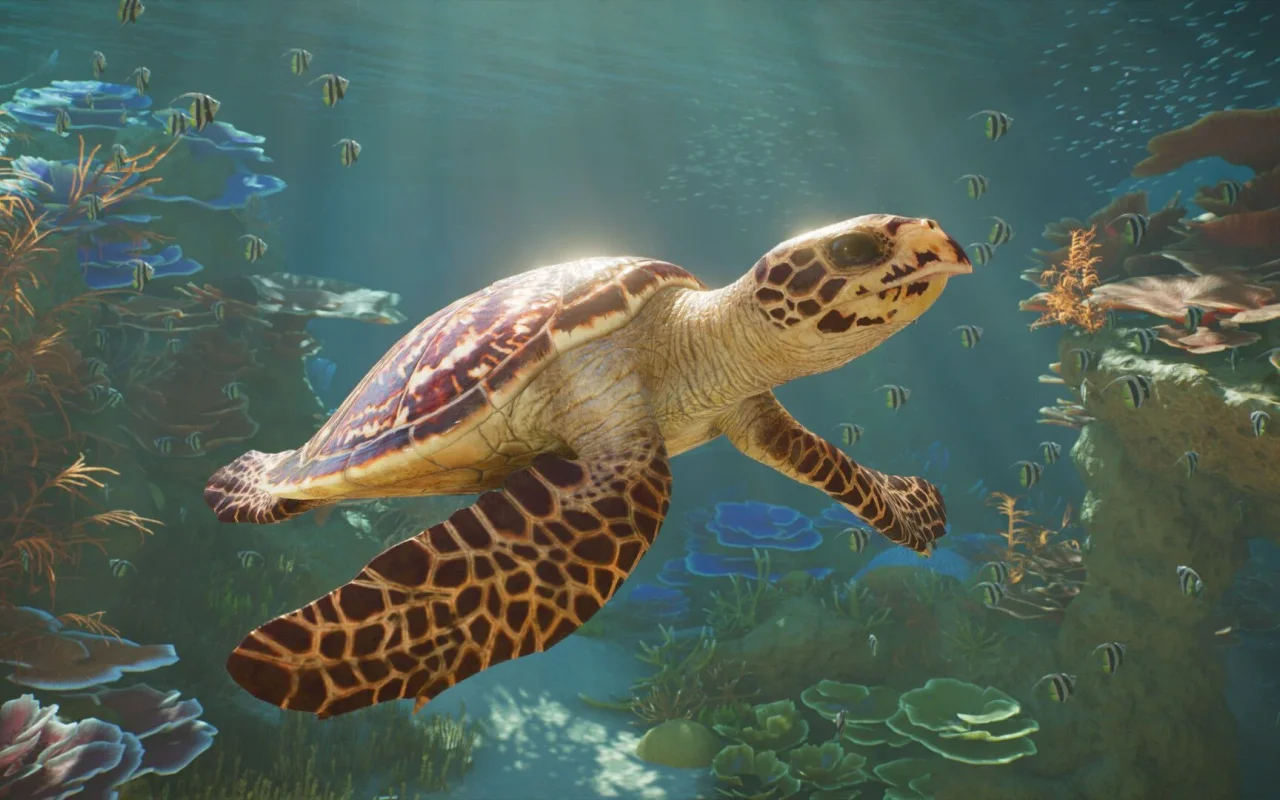 Nové video z Planet Zoo 2 ukazuje stavbu obrovských akvárií s vodními živočichy