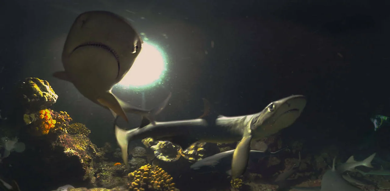 Prozkoumejte s PSVR oceán s Cocos: Shark Island a First Life