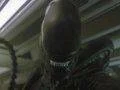 Alien: Isolation – PS4 vs. Xbox One