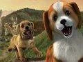 PlayStation Vita Pets vyjde letos v červnu