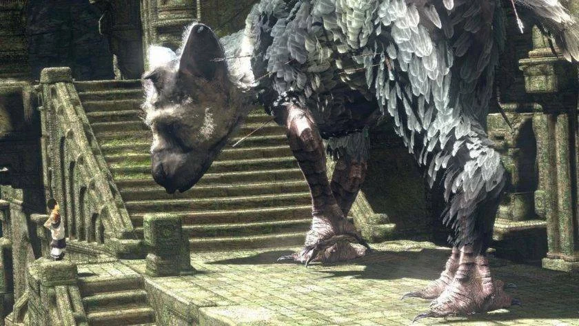 Reakce hráčů na The Last Guardian jsou zatím pozitivní