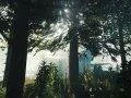 Oznámena hra The Forest pro PlayStation 4