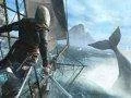 PETA má spadeno na Assassin’s Creed 4: Black Flag