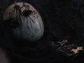 Dark Souls 2 má první recenzi, dopadl podle očekávání