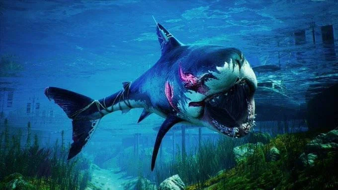 Žraločí hra Maneater míří na PS5 a Xbox Series