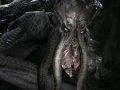 Spousta gameplay záběrů z akce Evolve