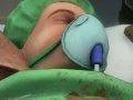 Oznámen Surgeon Simulator pro PlayStation 4