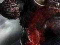 Ninja Gaiden 3 dostal TGS trailer