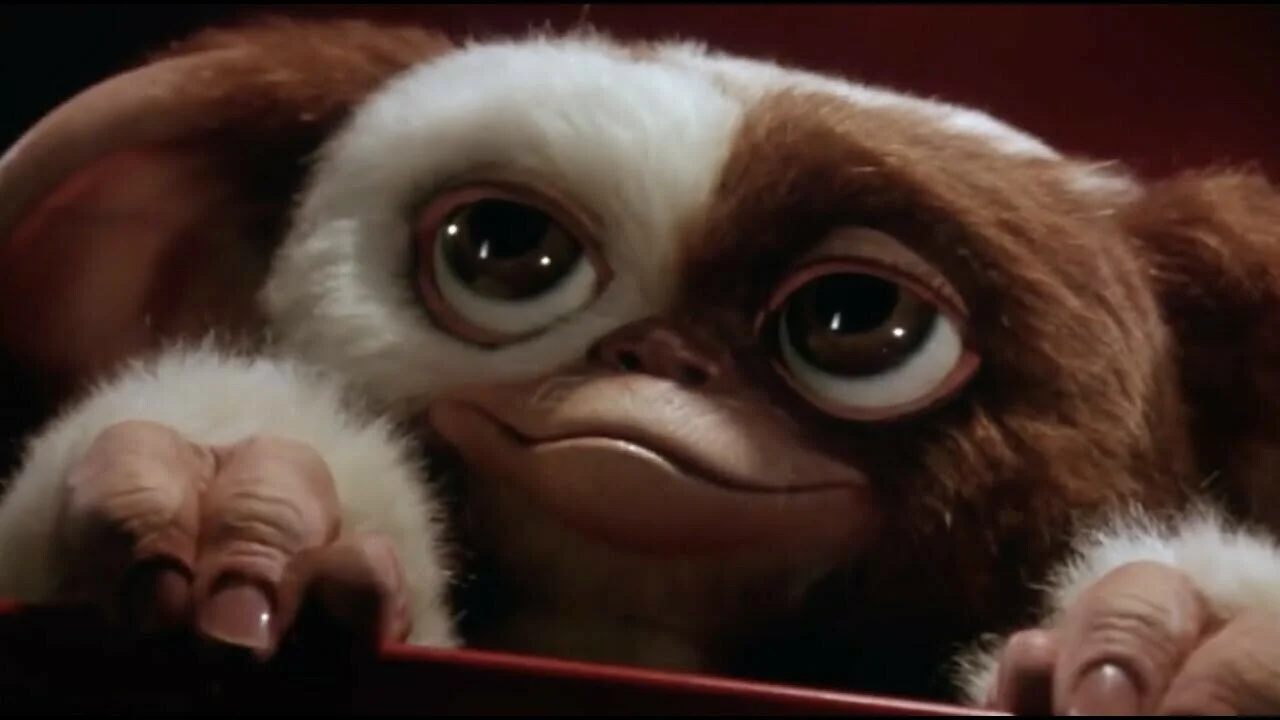 Zítra se do bojovky MultiVersus dostane Gizmo