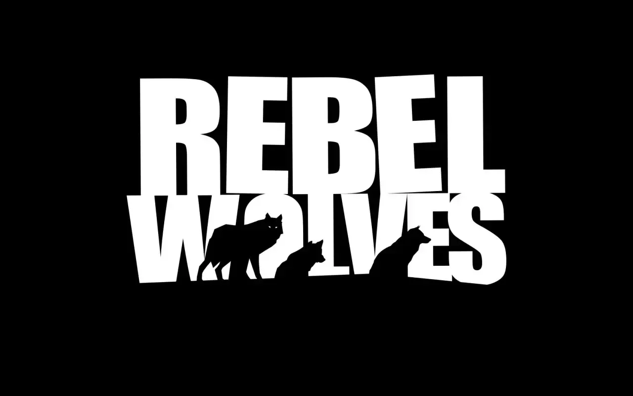 Do nového polského studia Rebel Wolves investoval čínský NetEase