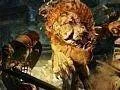 První deníček vývojářů hry Dragon’s Dogma