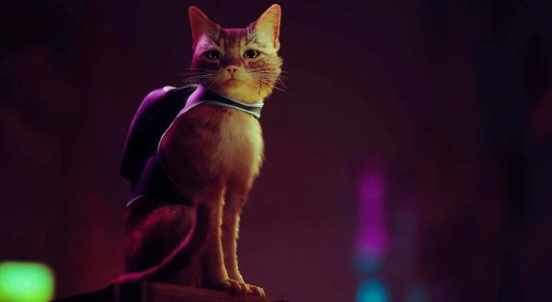 Nová ukázka ze hry Stray, vyjde příští rok na jaře
