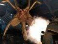 Rok staré demo Aliens: Colonial Marines vypadalo lépe jak finální verze