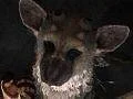 Spekulace: Fumito Ueda odešel ze Sony