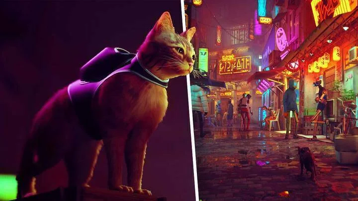 Hra Stray je pořád plánována na léto, pravděpodobně uniklo datum