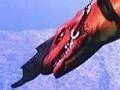 Crimson Dragon na XBLA, Steel Battalion téměř hotov