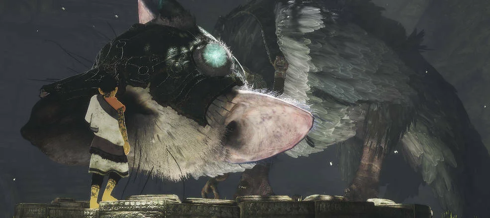 Yoshida se nebojí, že by The Last Guardian nenaplnil vysoká očekávání
