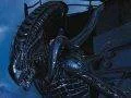 Oficiálně oznámen season pass pro Aliens: Colonial Marines, známe první DLC