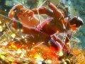 První trailer na Naruto Shippuden: Ultimate Ninja Storm 4