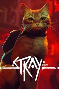 Stray