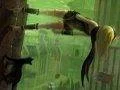 Vývojáři by chtěli pokračování Gravity Rush