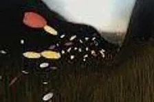 Flower má cenu, datum a trofeje