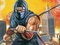 Ninja Gaiden