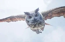 Filmový trailer na kouzelnickou hru Hogwarts Legacy