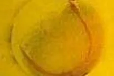 Tenisová série EA SPORTS 