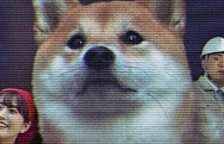 Tento týden vyšla pro konzole PlayStation originální hra HUMANITY, odnáší si vysoká hodnocení + launch trailer