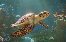 Nové video z Planet Zoo 2 ukazuje stavbu obrovských akvárií s vodními živočichy
