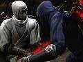 Ninja Gaiden 3 bude obsahovat online pass