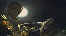 Prozkoumejte s PSVR oceán s Cocos: Shark Island a First Life