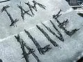 I am Alive na PSN během jara