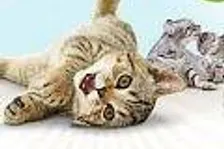 UbiSoft oznamuje Petz pro PSP