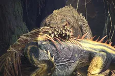 Představení Deviljhoa, prvního dodatečného monstra pro Monster Hunter World