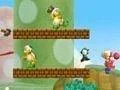 New Super Mario Bros. Wii