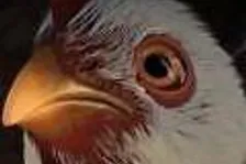 Fable 3 &ndash; úvodní filmeček