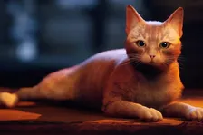 Launch trailer na kočičí dobrodružství Stray