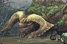 Capcom by chtěl vydat Monster Hunter Portable 3rd i v Evropě