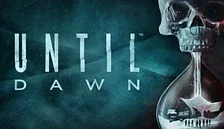 Until Dawn