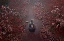 Nové informace a záběry z hororové adventury Silent Hill f