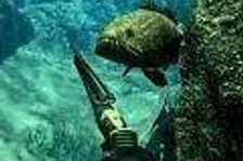 Oznámen Spearfishing