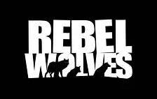 Režisér her Zaklínač 3 a Cyberpunk 2077 založil své vlastní studio Rebel Wolves, připravuje temnou fantasy akční RPG hru na Unreal Engine 5