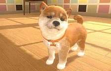 Letos na jaře vyjde pro Switch hra Little Friends: Dogs & Cats