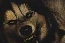 (UPDATE) Konzolista.cz - Bleskový kvíz Vol. 5 - Vyhodnocení