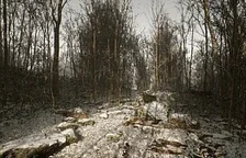 Trailerová aplikace Abandoned vyjde koncem července, první trailer příští měsíc